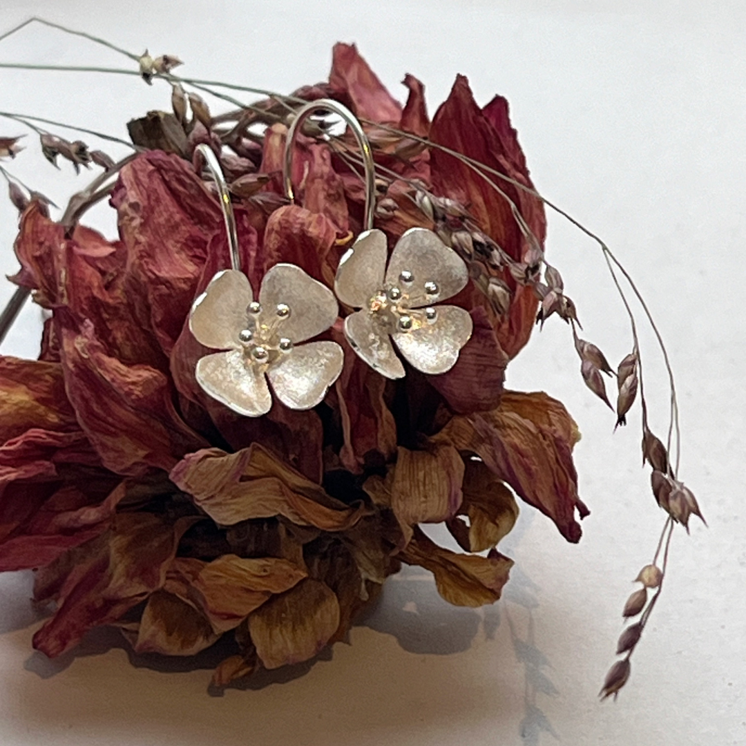Örhängen Phlox - Silver