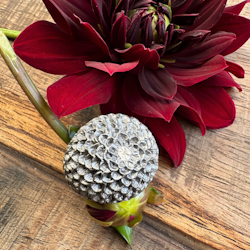 Ring Pompondahlia - Brons/Guld