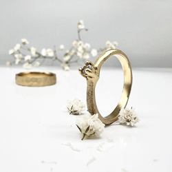 Misty Forest "Twig" Ring - Förgyllt med 14K Guld