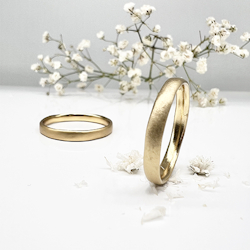 Misty Forest Plain Ring - 14K Gold