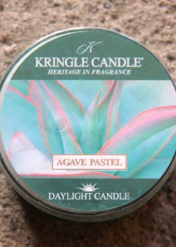 Agave pastel