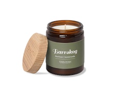 Torplyktan Barrskog