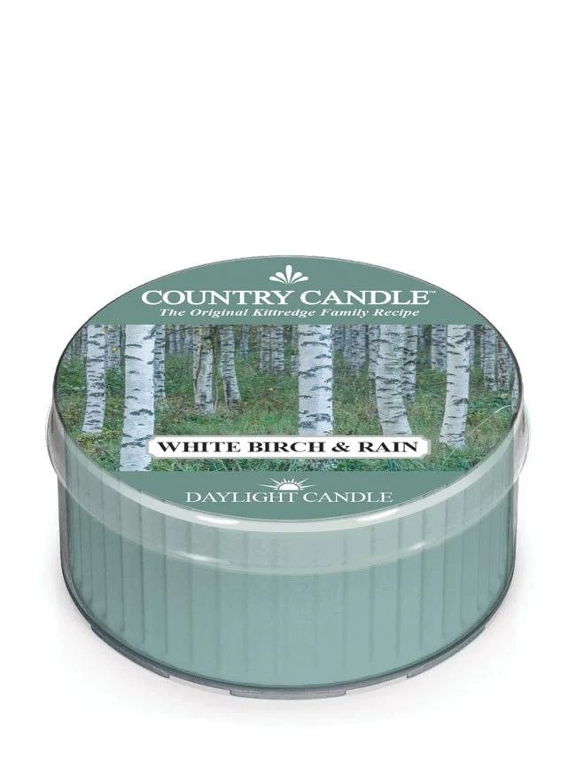 WHITE BIRCH & RAIN