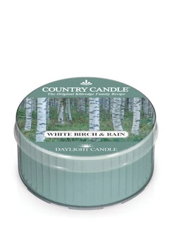 WHITE BIRCH & RAIN