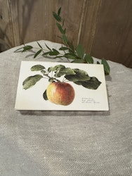 Tändstickor med äpple