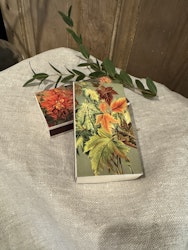 Tändstickor med höst dahlia