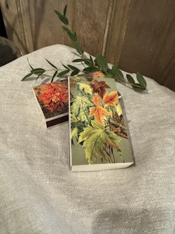 Tändstickor med höst dahlia