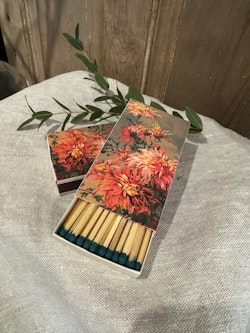 Tändstickor med höst dahlia