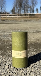 Trädgårdsljus, 20 cm, Grön