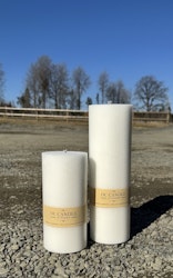 Trädgårdsljus, 20 cm, Vit