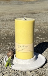 Trädgårdsljus, 20 cm, Gul