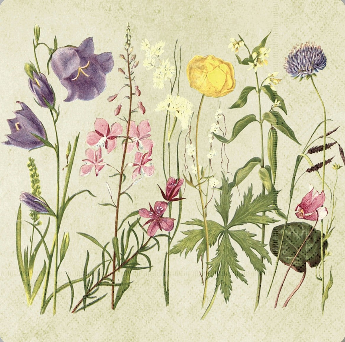 Servett Sommar blommor