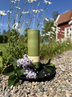 Trädgårdsljus, 30 cm, Grön