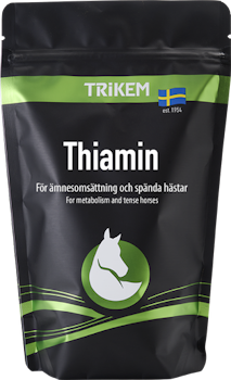 Trikem Thiamin, 500g