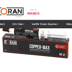 Foran Copper Max