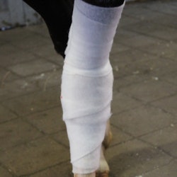 Polstervadd 10cm x 3m synt, VetProvide
