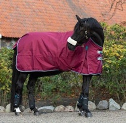 Shires Highlander utetäcke med hals 200g