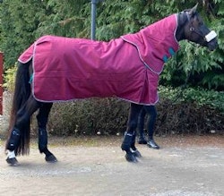Shires Highlander utetäcke med hals 200g