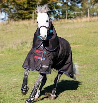 Shires Highlander utetäcke 300g med hals
