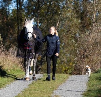 Shires Highlander utetäcke 300g med hals