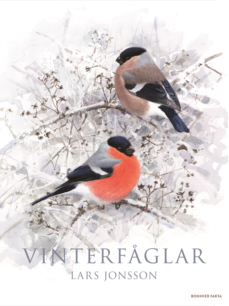 Vinterfåglar - finns i Rutströms bokhandel