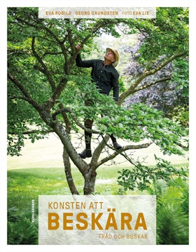 Konsten att beskära