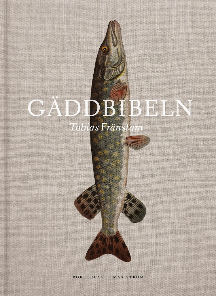 Gäddbibeln - finns i Rutströms bokhandel