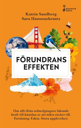 Förundranseffekten (pocket)