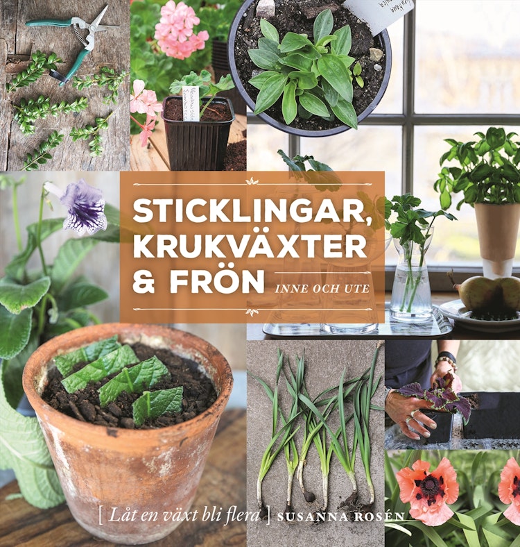 Sticklingar, krukväxter & frön - inne och ute - finns i Rutströms bokhandel