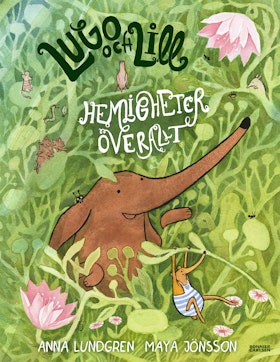 Lugo och Lill: Hemligheter överallt