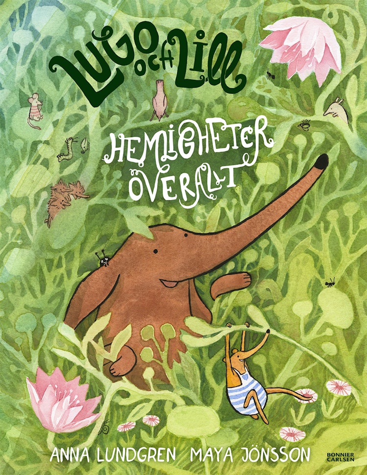 Lugo och Lill: Hemligheter överallt -  finns i Rutströms bokhandel