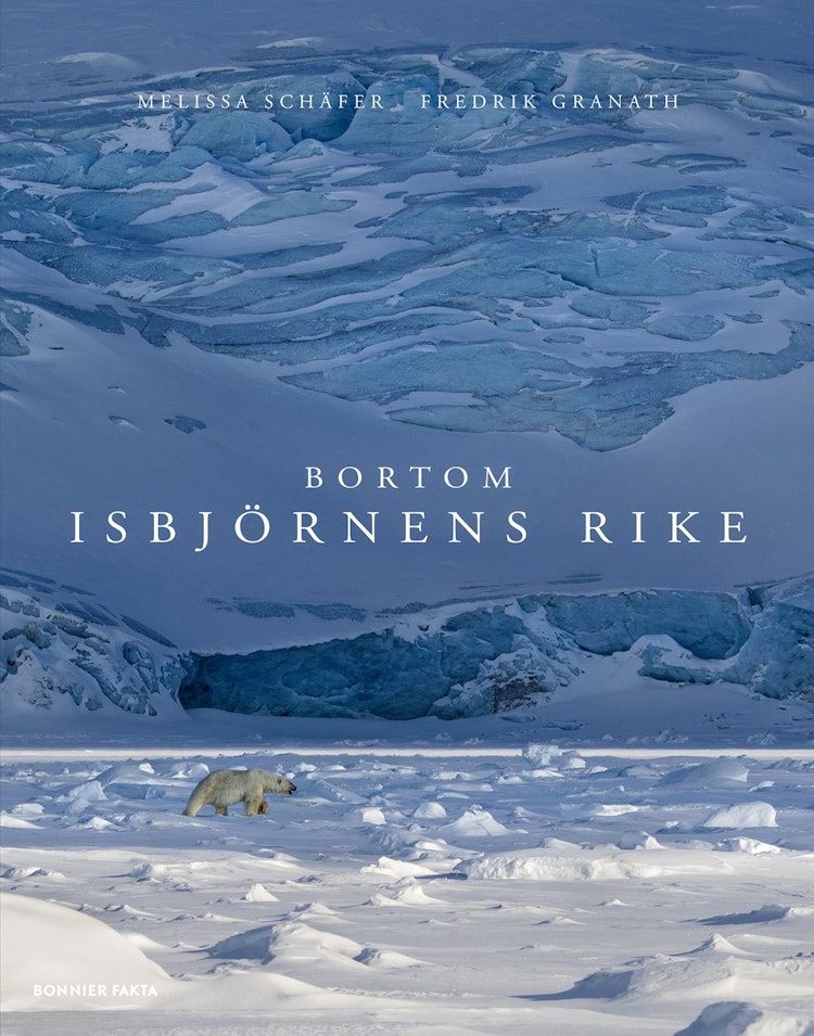 Bortom isbjörnens rike - finns i Rutströms bokhandel