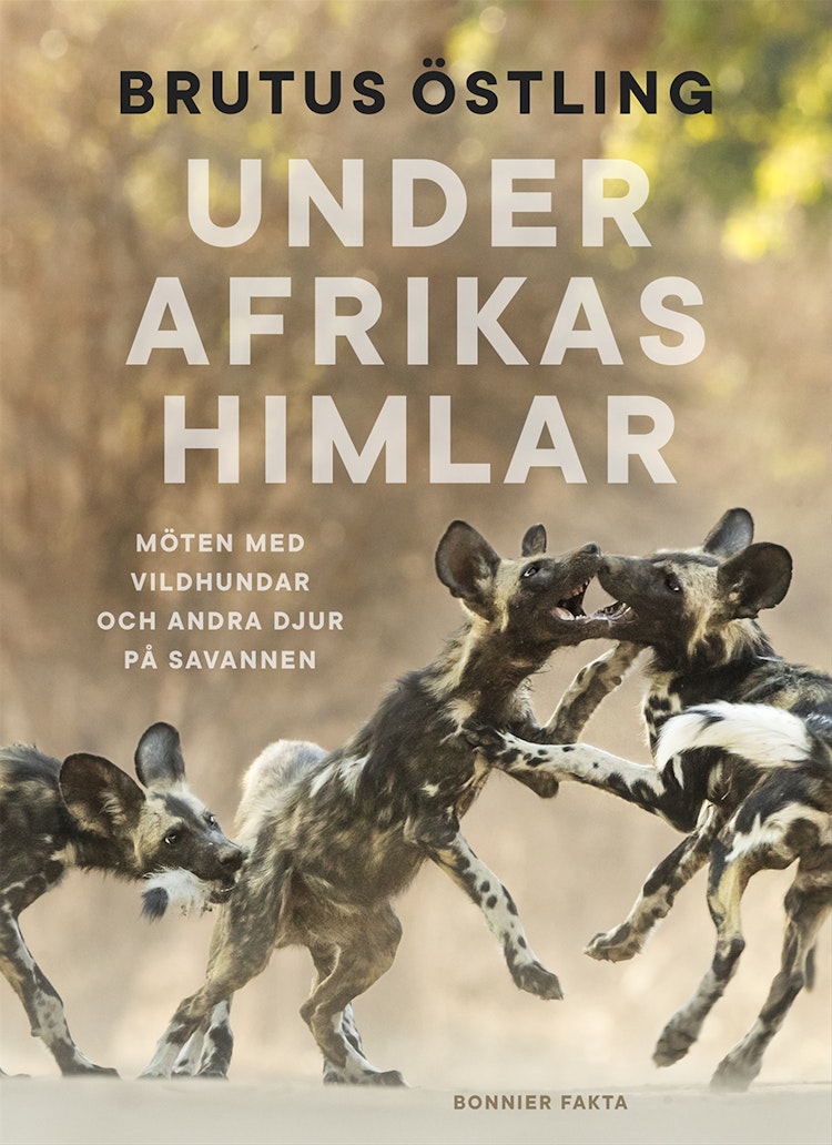 Under Afrikas himlar : Möten med vildhundar och andra djur på savanner - finns i Rutströms bokhandel
