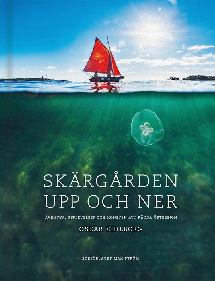 Skärgården upp och ner : äventyr, upplevelser och konsten att rädda Östersjön - finns i Rutströms bokhandel