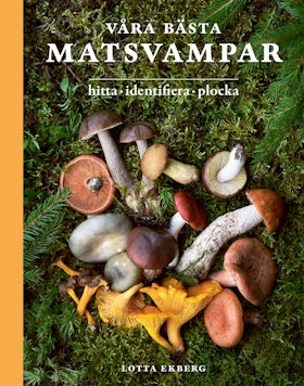 Våra bästa matsvampar : hitta, identifiera, plocka