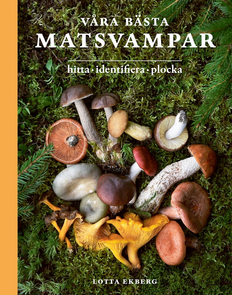 Våra bästa matsvampar : hitta, identifiera, plocka - finns i Rutströms bokhandel
