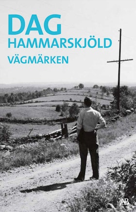 Vägmärken (storpocket)