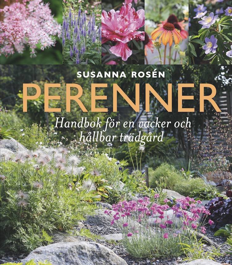 Perenner : handbok för en vacker och hållbar trädgård - finns i Rutströms bokhandel