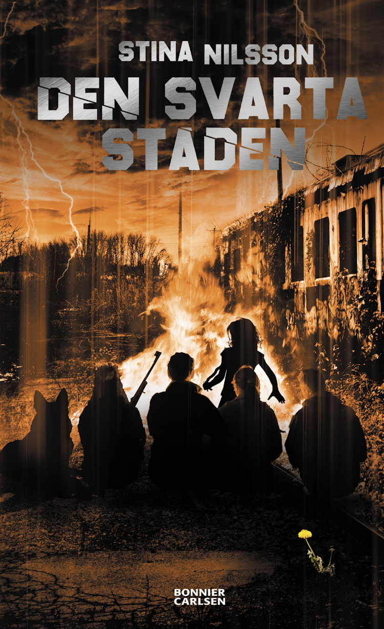 Den svarta staden - finns i Rutströms bokhandel