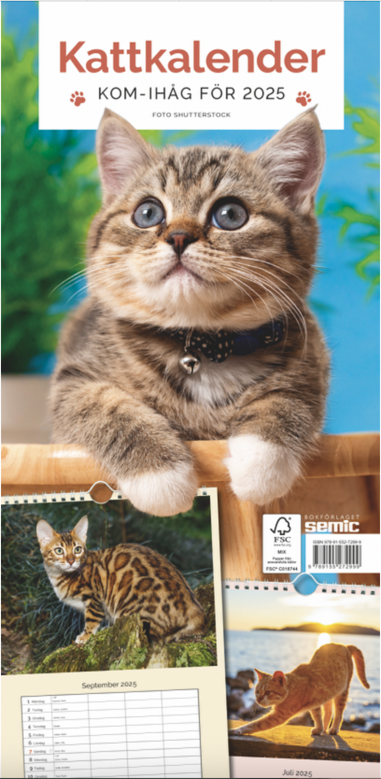 Kattkalender 2025 - finns i Rutströms bokhandel