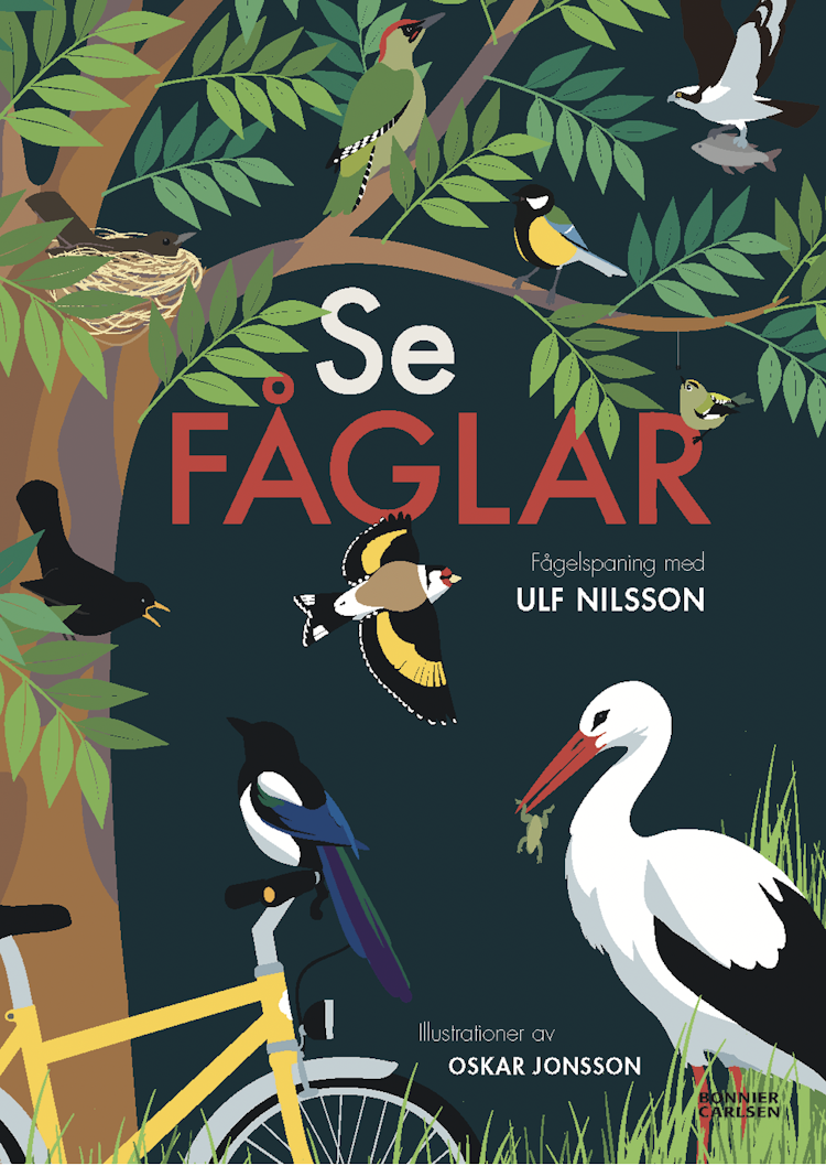 Se fåglar - finns i Rutströms bokhandel