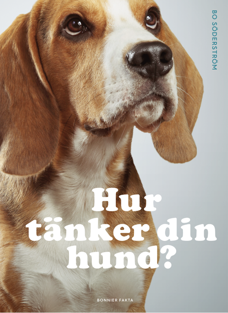 Hur tänker din hund? - finns i Rutströms bokhandel