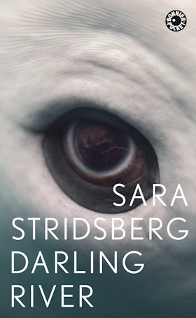 Darling River (pocket)