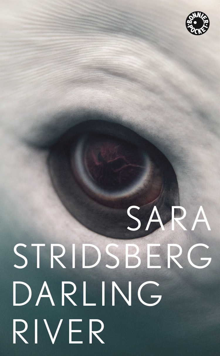 Darling River - finns i Rutströms bokhandel