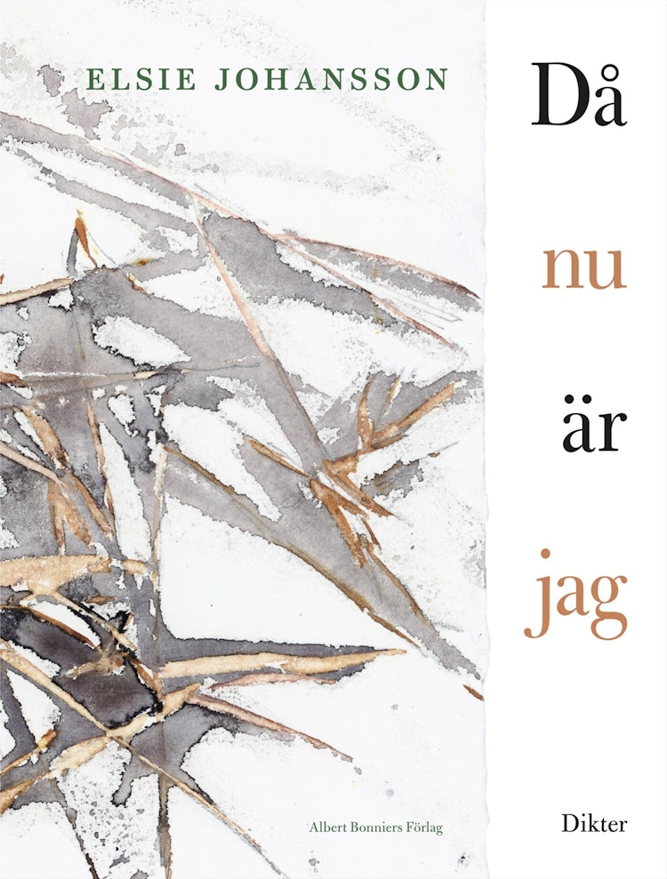 Då nu är jag - finns i Rutströms bokhandel