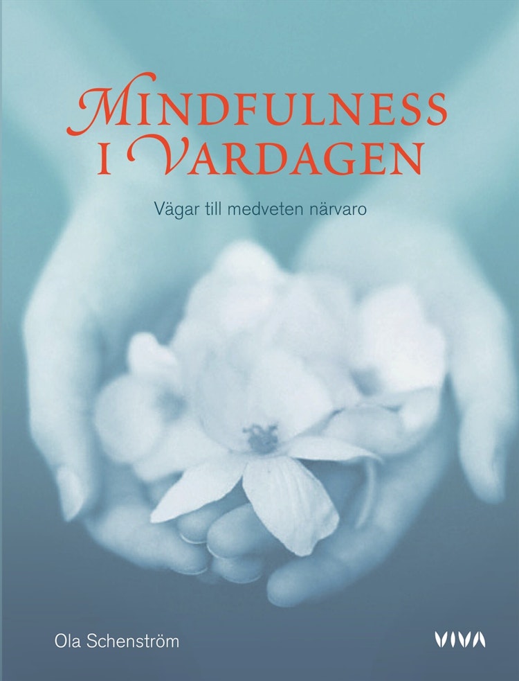 Mindfulness i vardagen - finns i Rutströms bokhandel