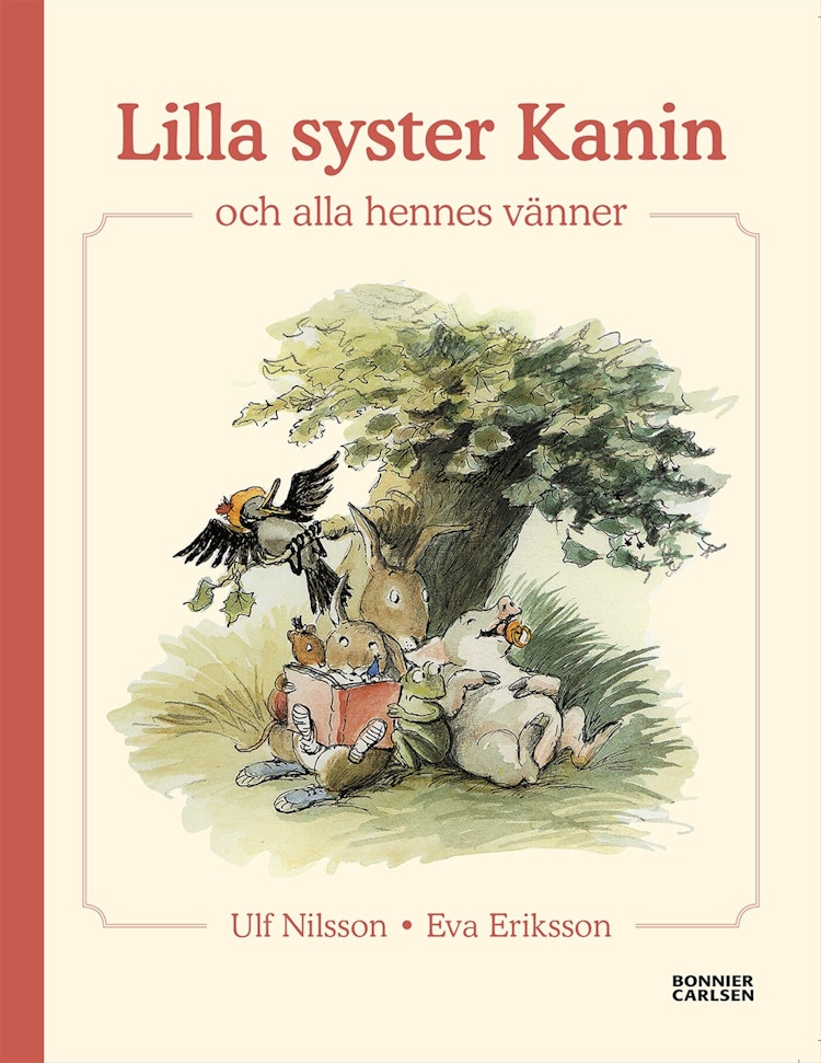 Lilla syster Kanin och alla hennes vänner - finns i Rutströms bokhandel