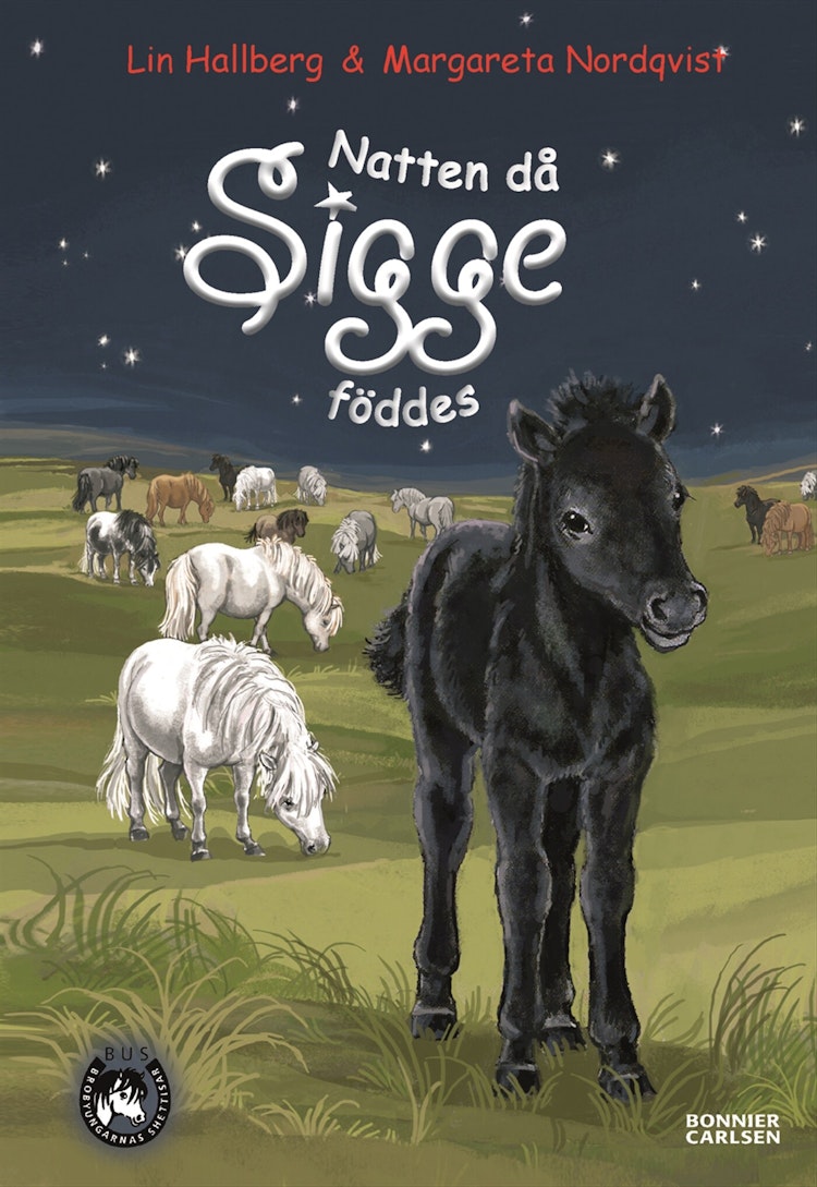 Natten då Sigge föddes  - finns i Rutströms bokhandel