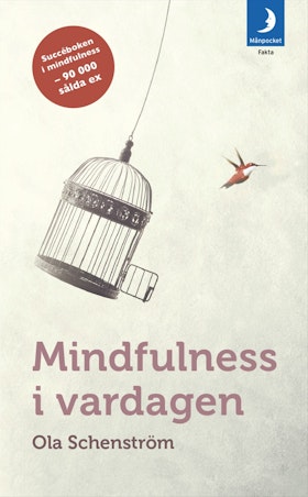 Mindfulness i vardagen (pocket)