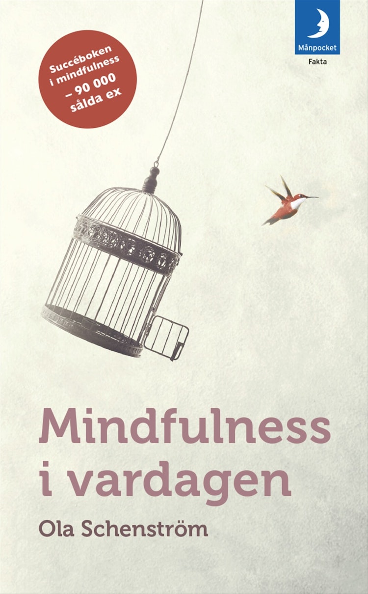 Mindfulness i vardagen - finns i Rutströms bokhandel